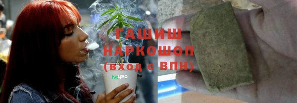 хмурый Алзамай