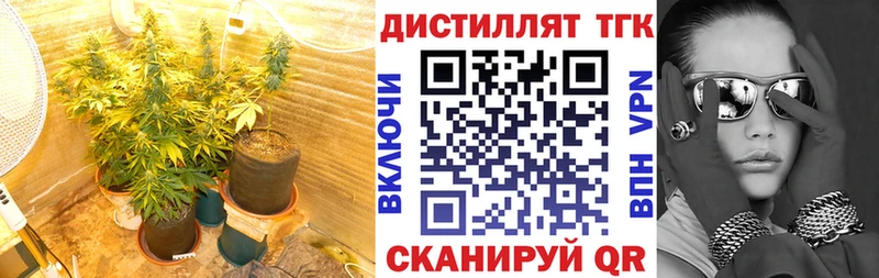 ТГК THC oil  Талдом 